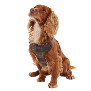 Barbour Travel And Exercise Dog Harness